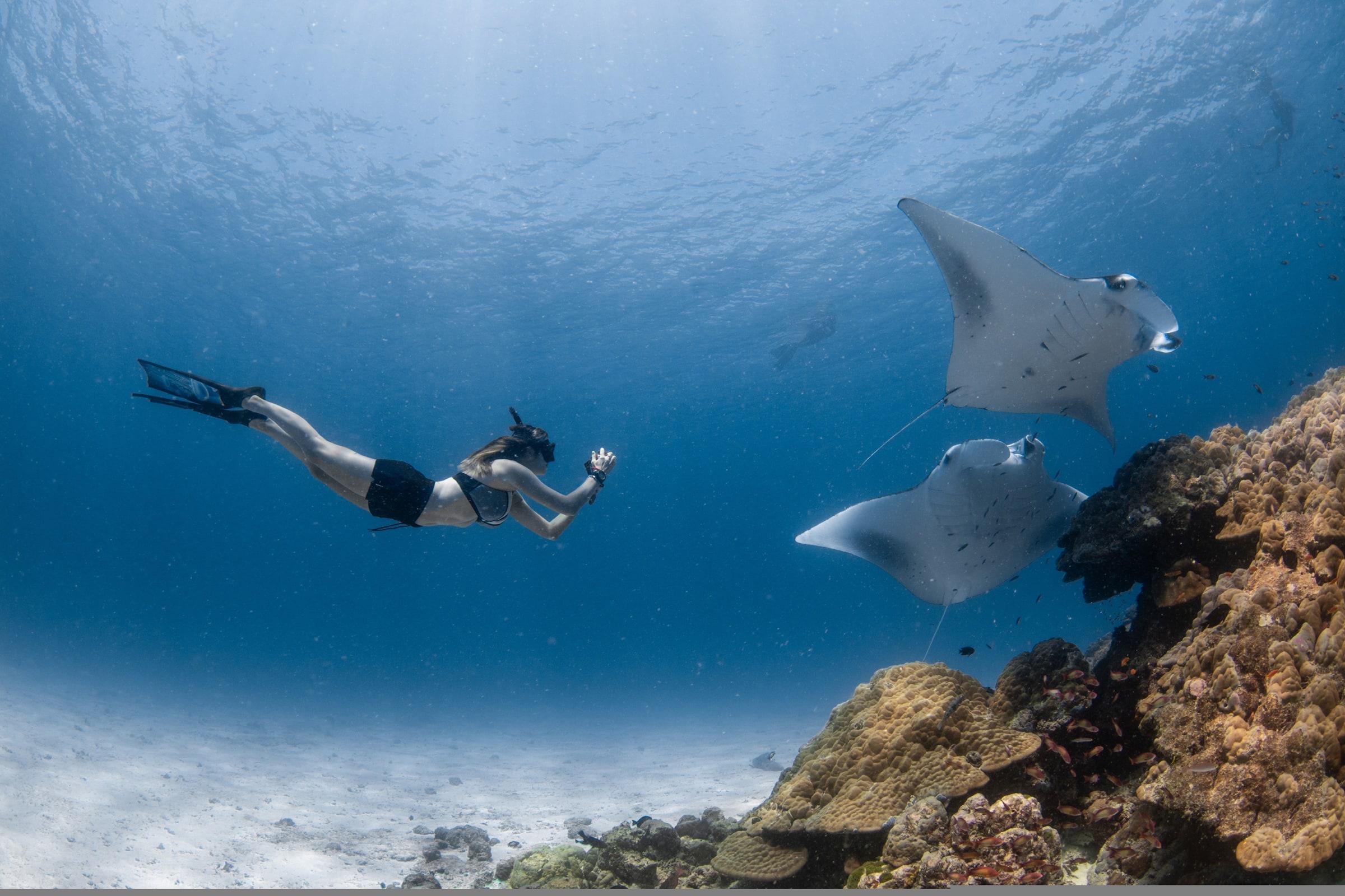Diving Resorts