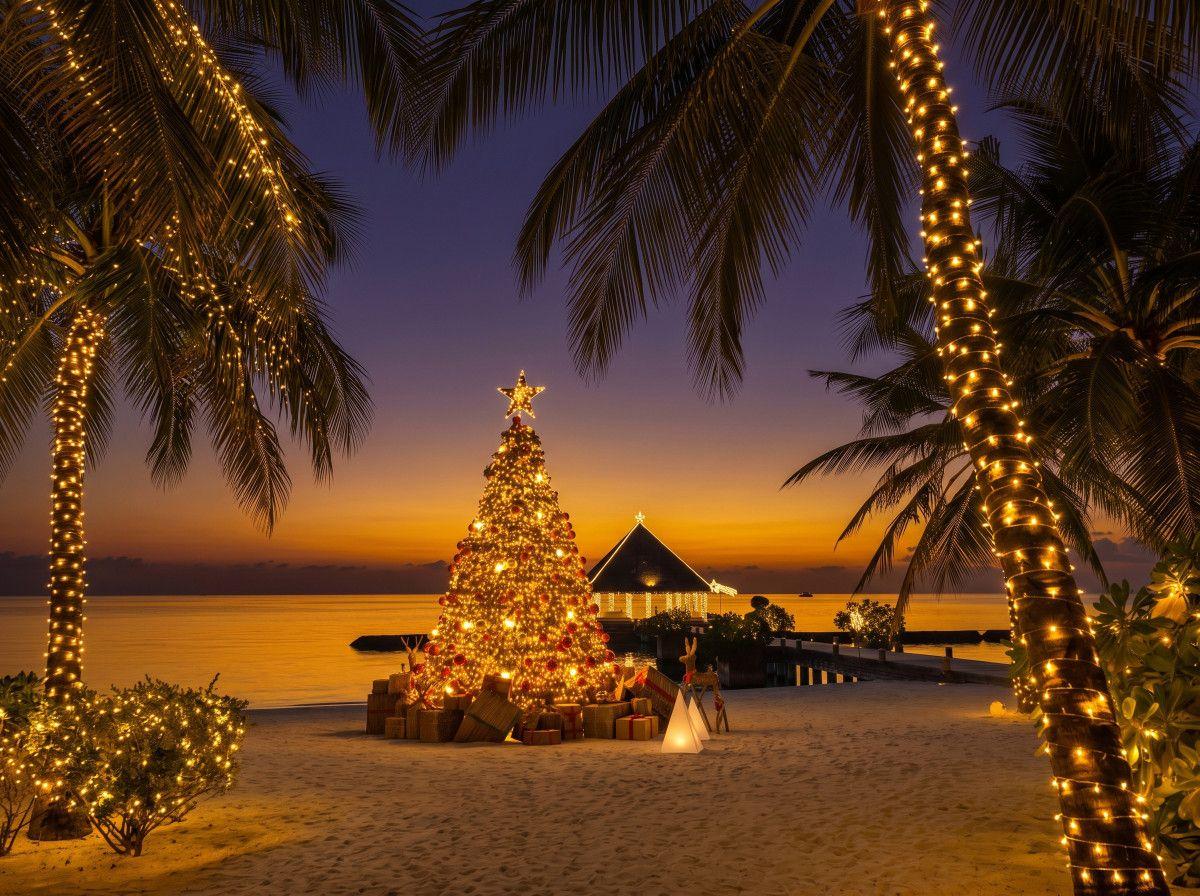 Coco Bodu Hithi