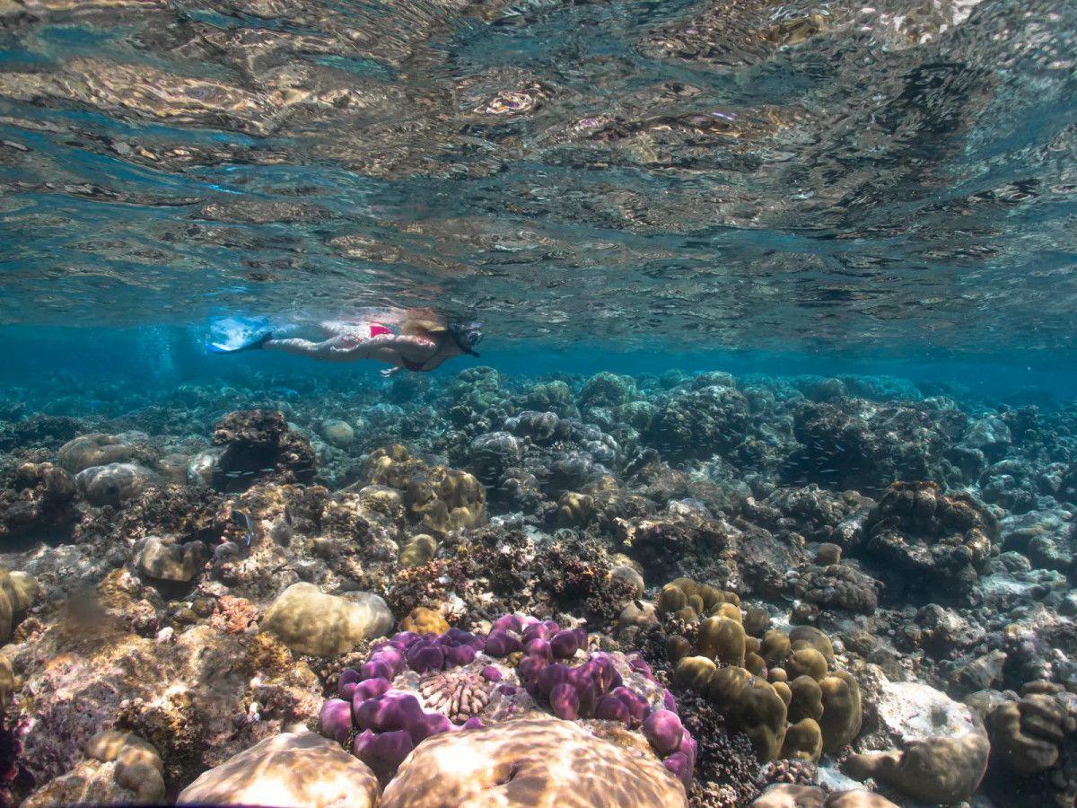 Eri Maldives