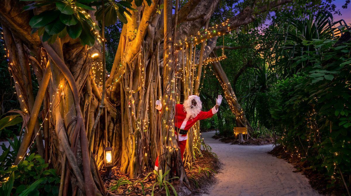 Coco Palm Dhuni Kolhu