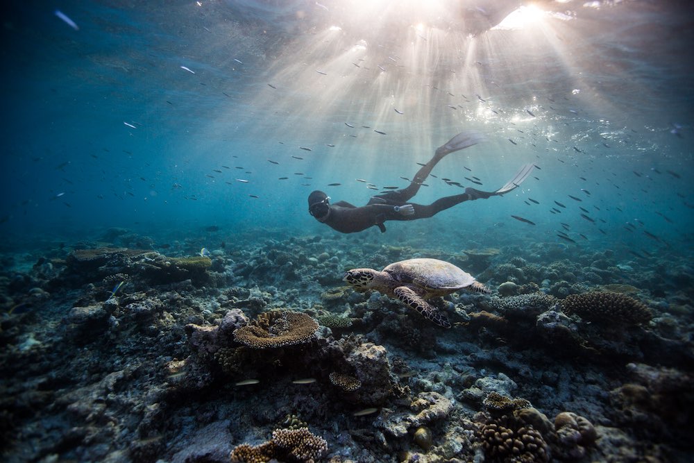 Diving