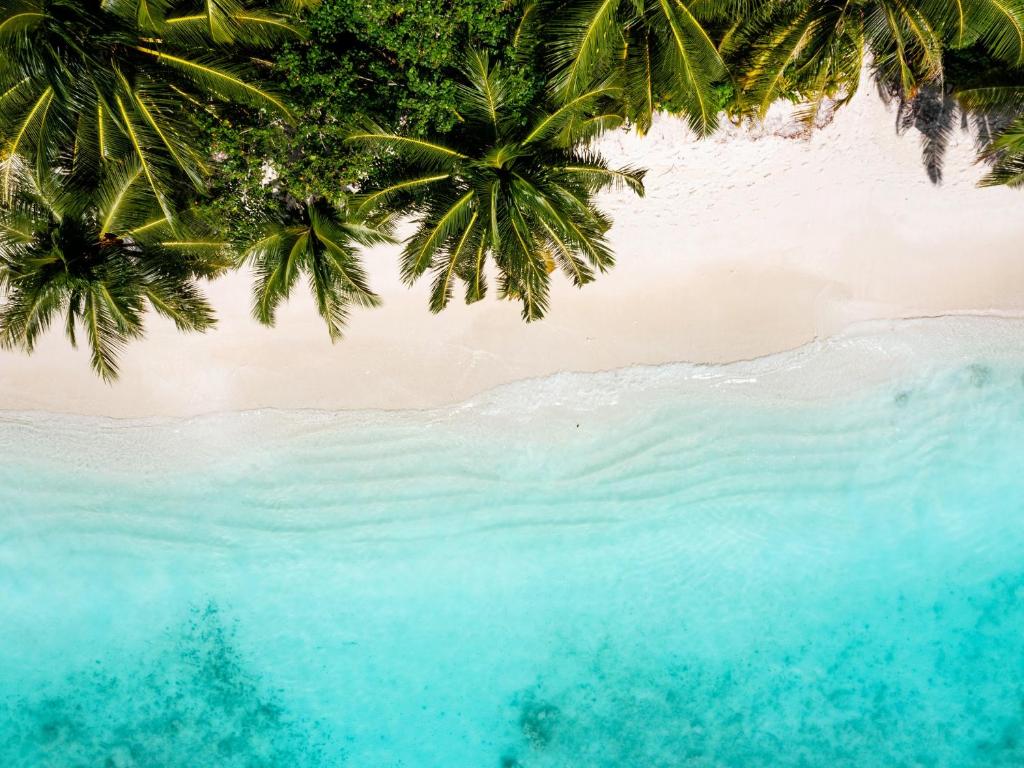 Ayada Maldives 10