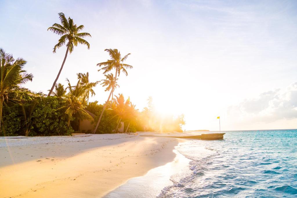 Ayada Maldives 13