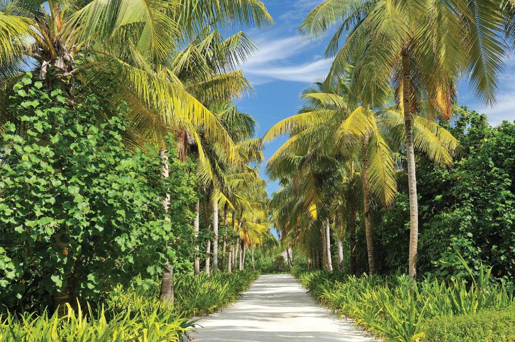 Ayada Maldives 3