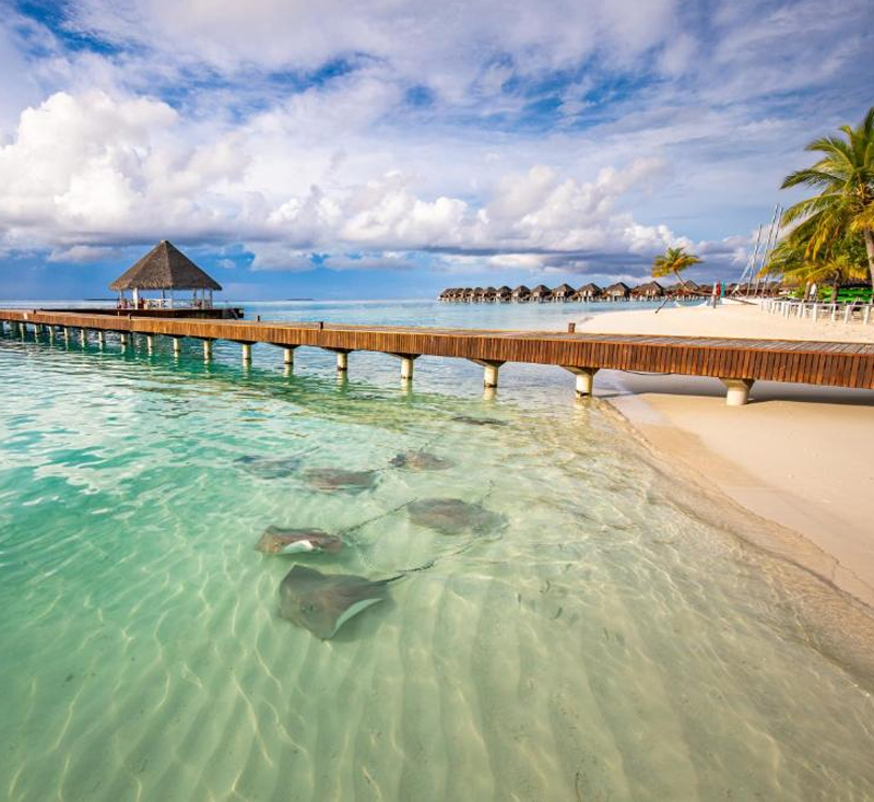 Vilu Reef 02