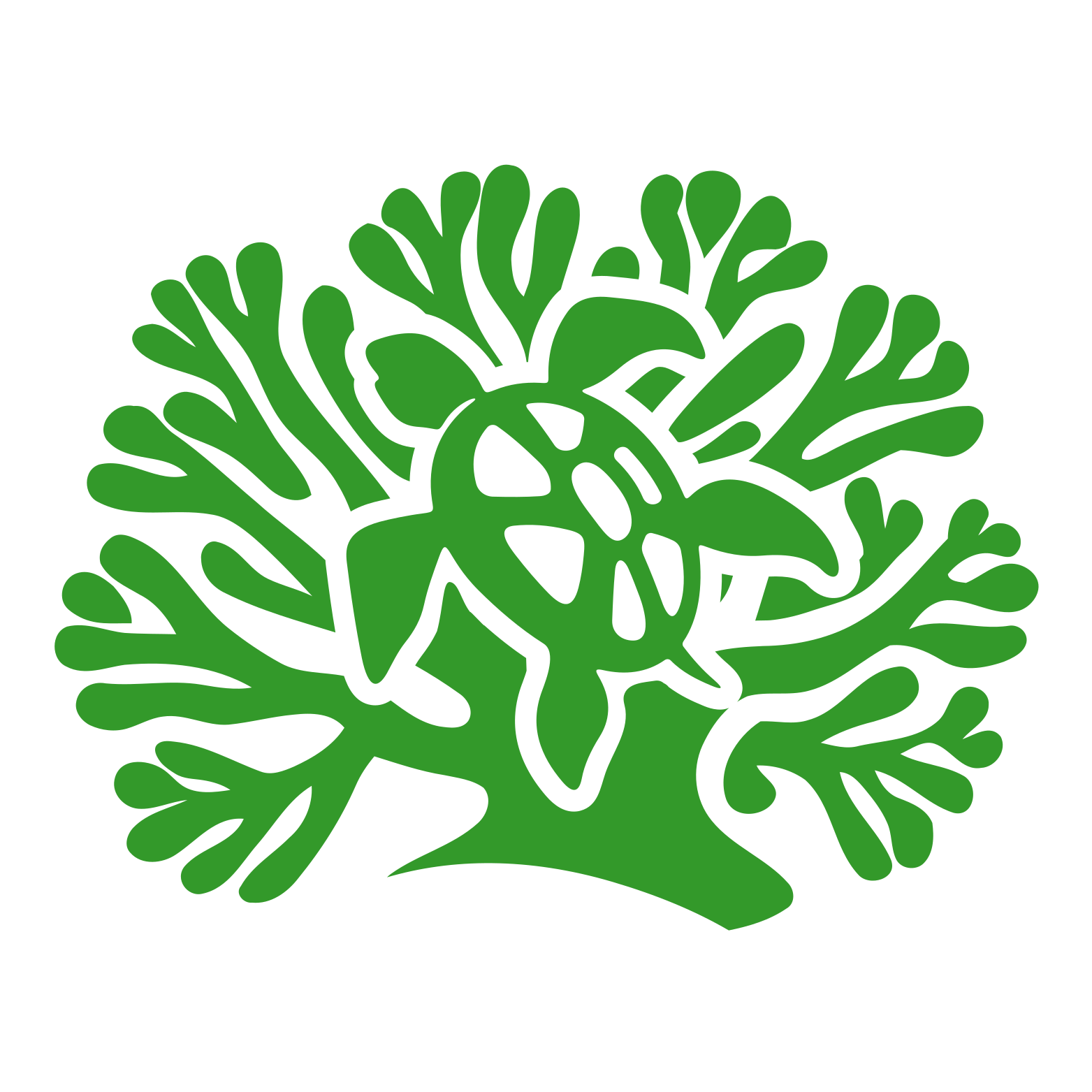 Turtle Icon