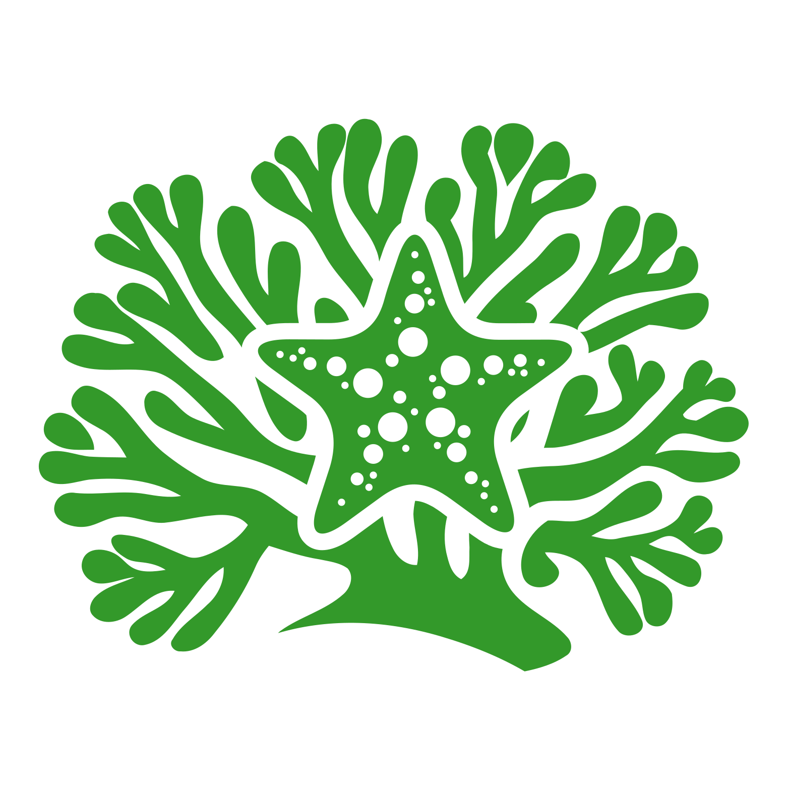 Star Icon