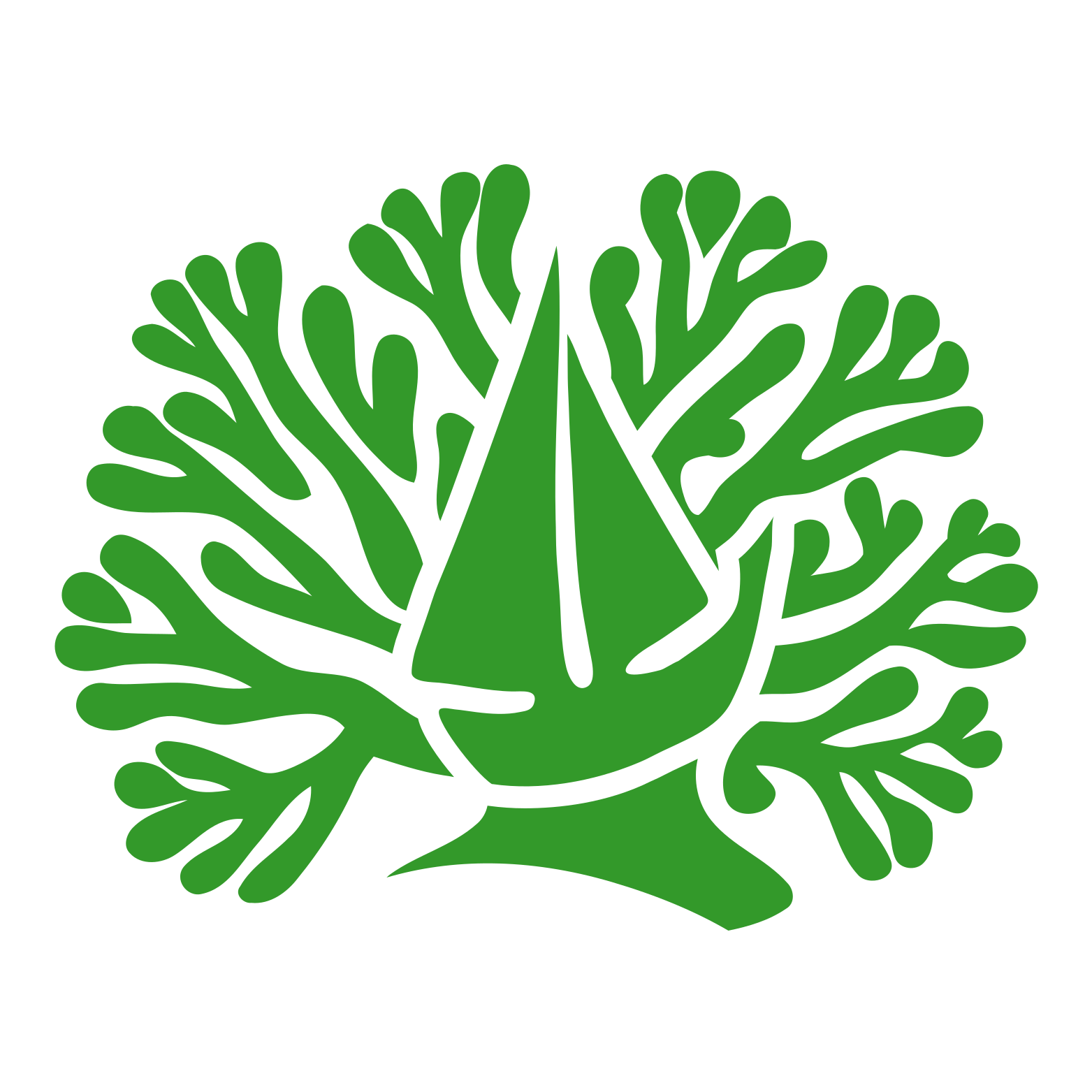 Maldives Icon