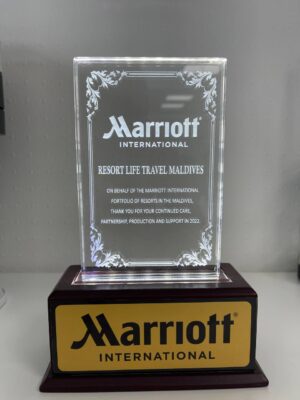 Award 7